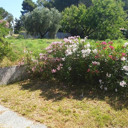 La Casa Di Artemide Affittacamere Le Venelle Rio dellʼElba Buitenkant foto